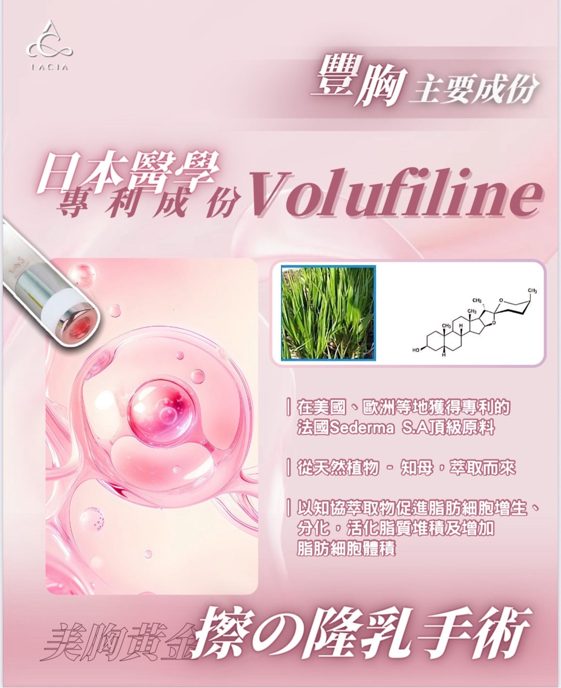 (Lacia) Lady S Advanced - 人體電流豐胸膏