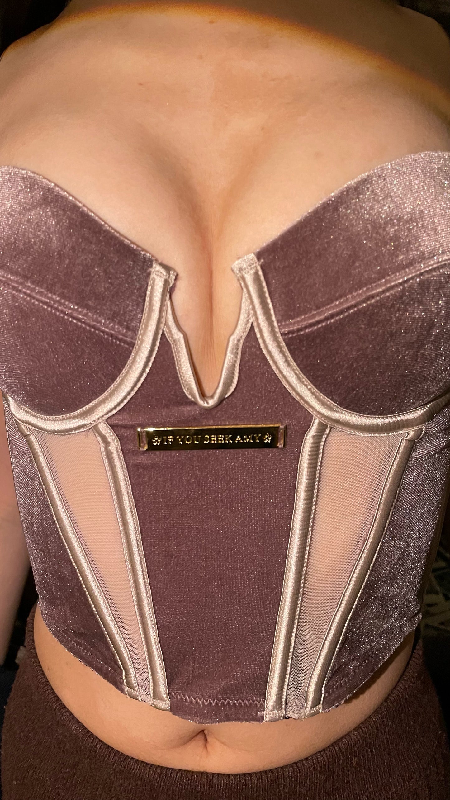 Velvet Valentine Corset